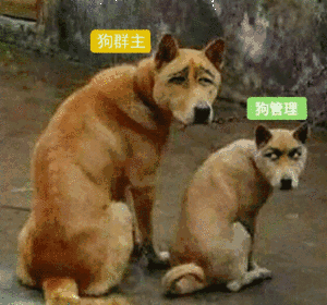 糖，前10，，，，1