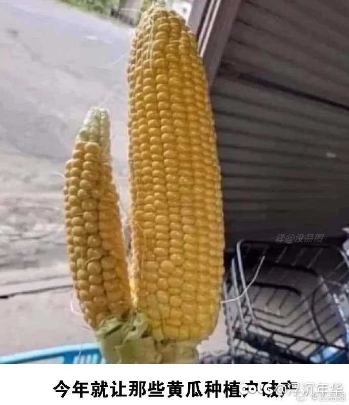 图图来了！！！准备下班5