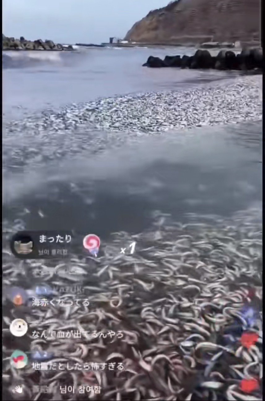 怎么能有日本这么**的国家1