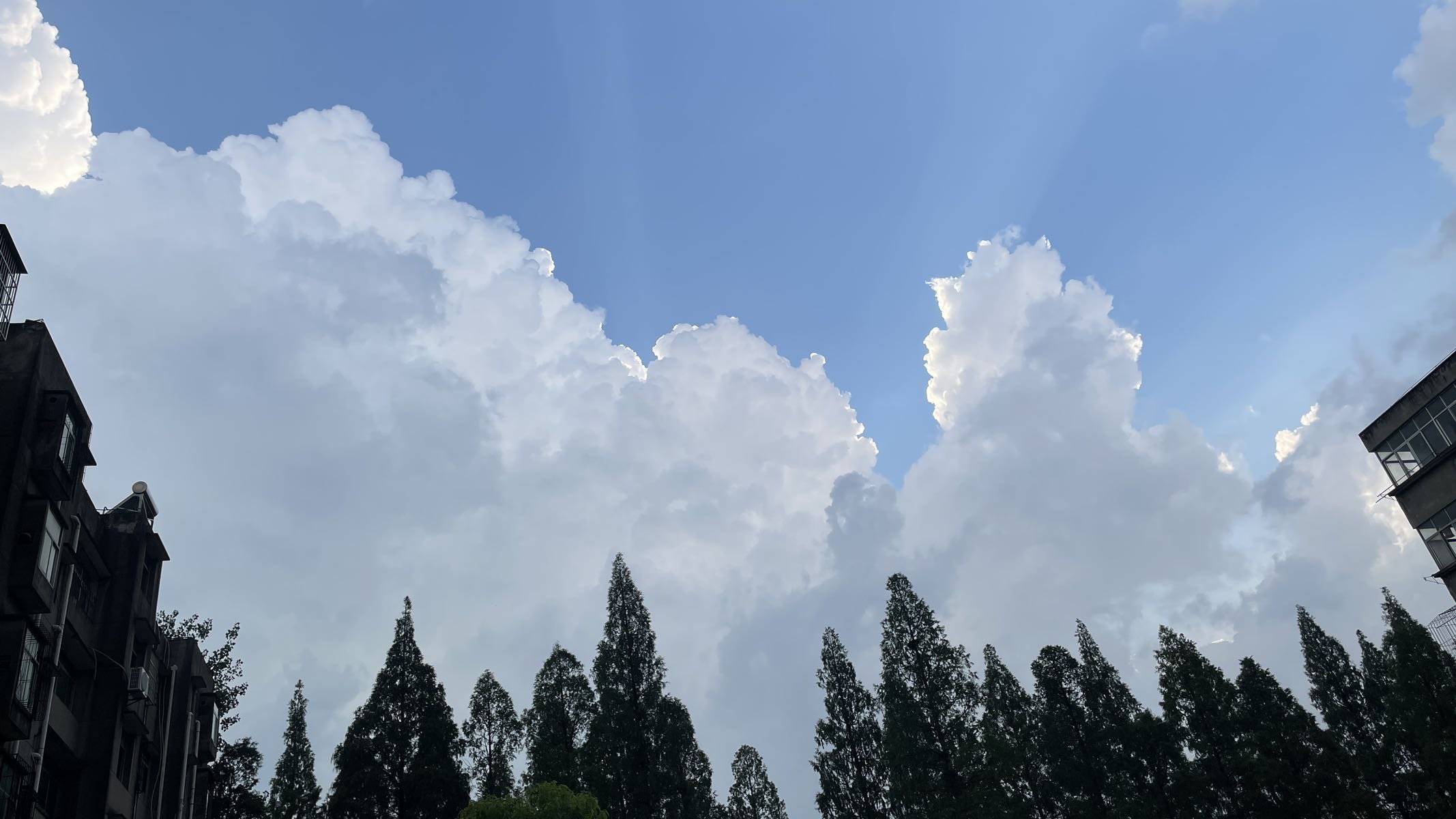 今天阵雨前的云1