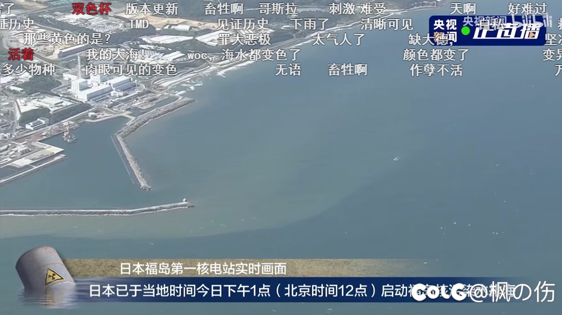 这下整成宾周水了1