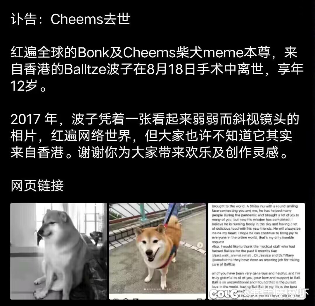 可怜的Cheems愿天堂保佑你1