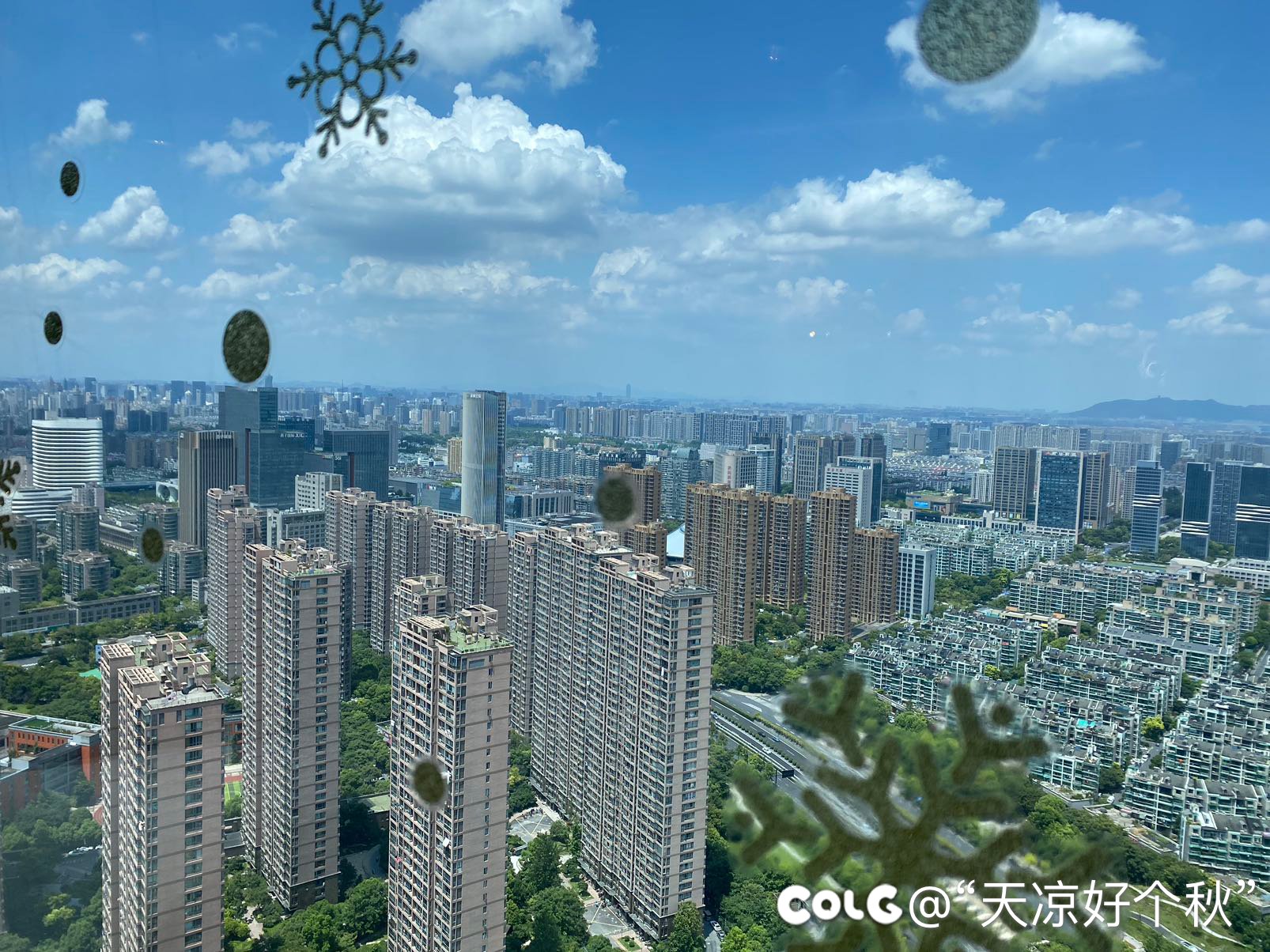 周末遛娃之生日写真2