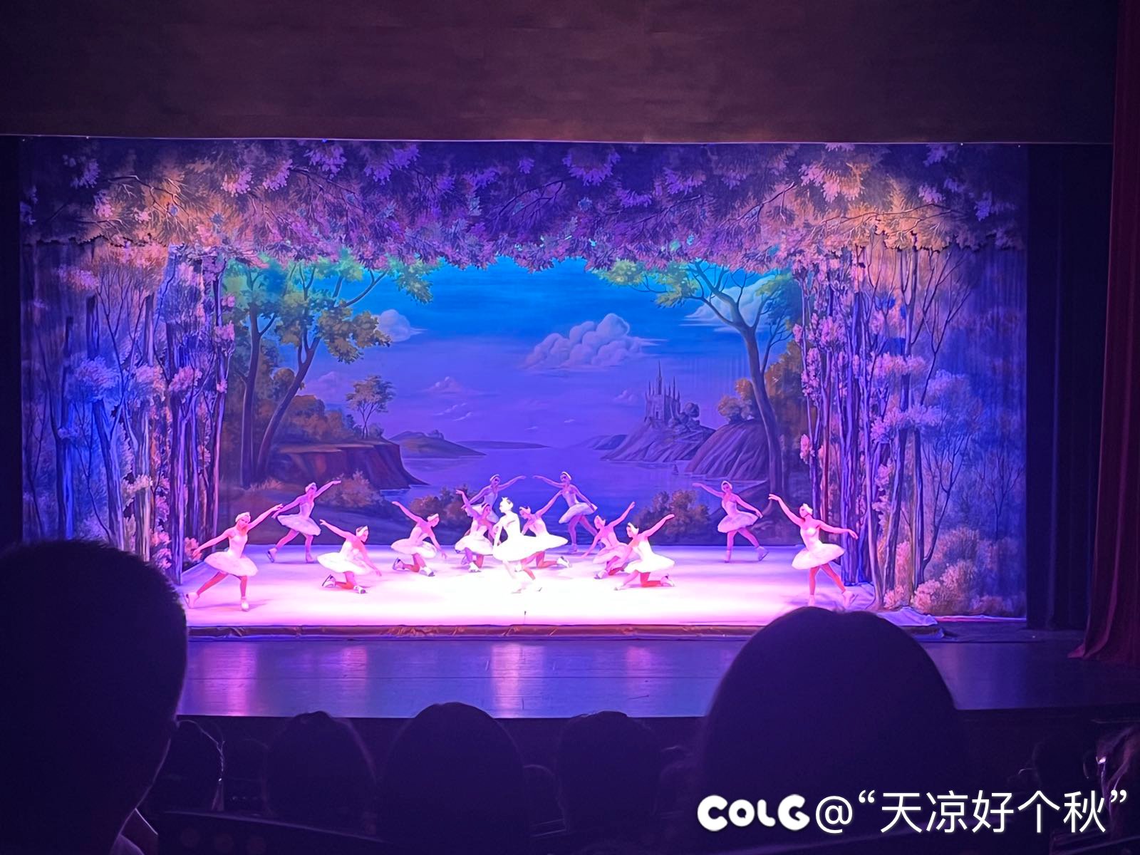 开场了我才发现是冰上芭蕾1