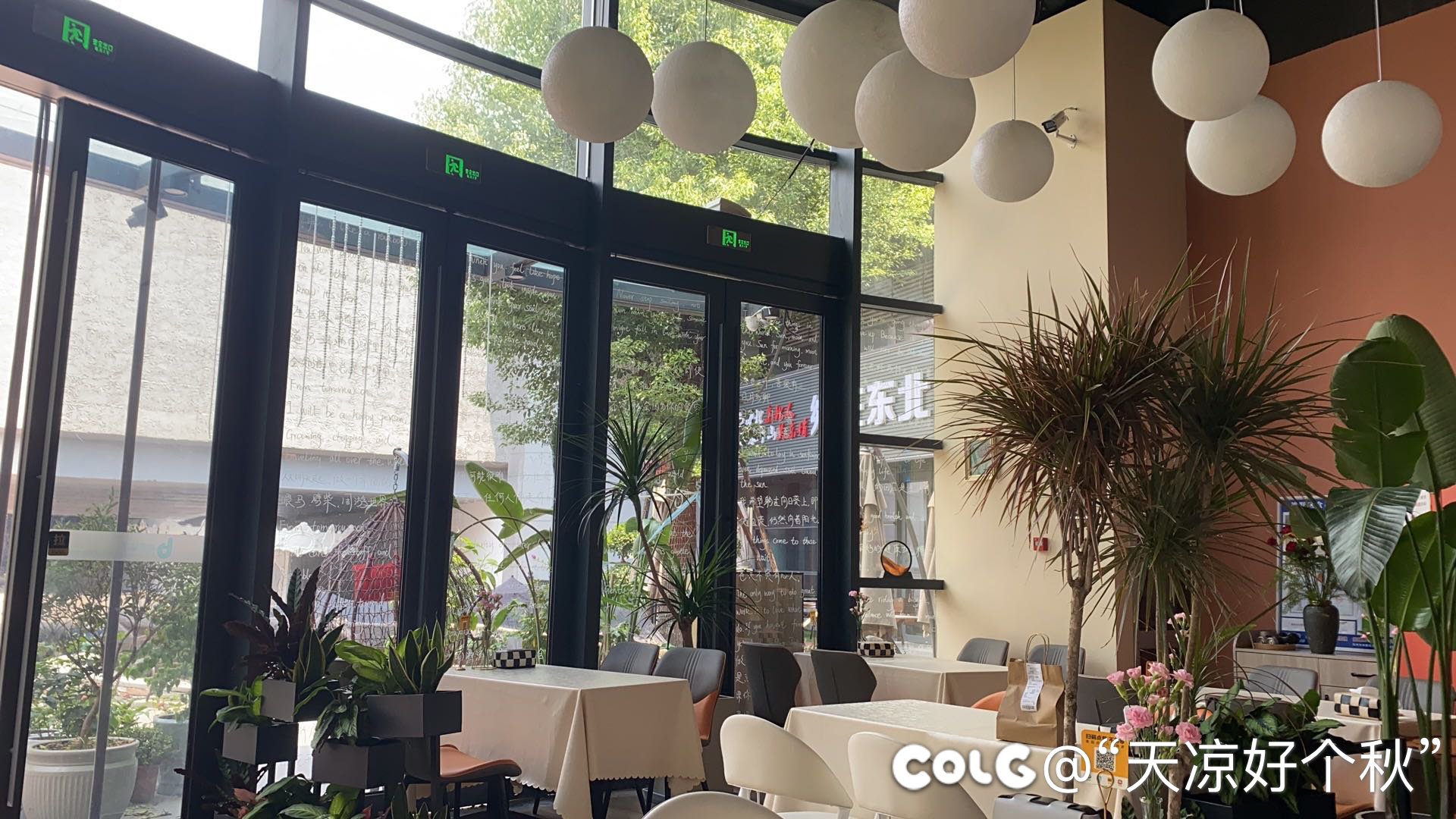 请了年假遛娃（内有猛兽出镜）2