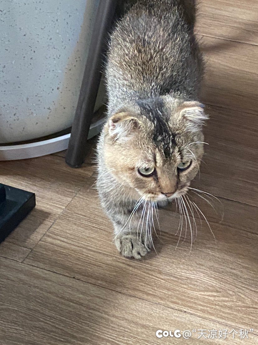 请了年假遛娃（内有猛兽出镜）7