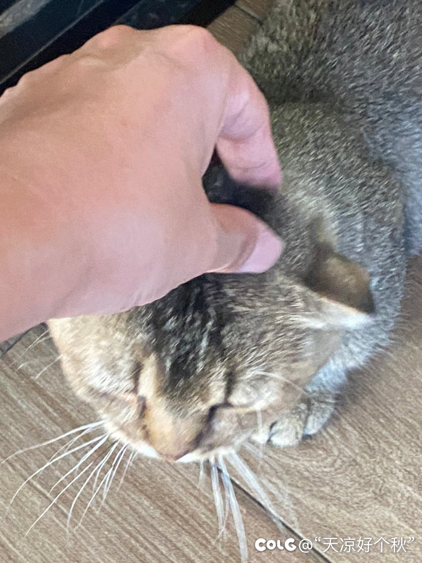 请了年假遛娃（内有猛兽出镜）8