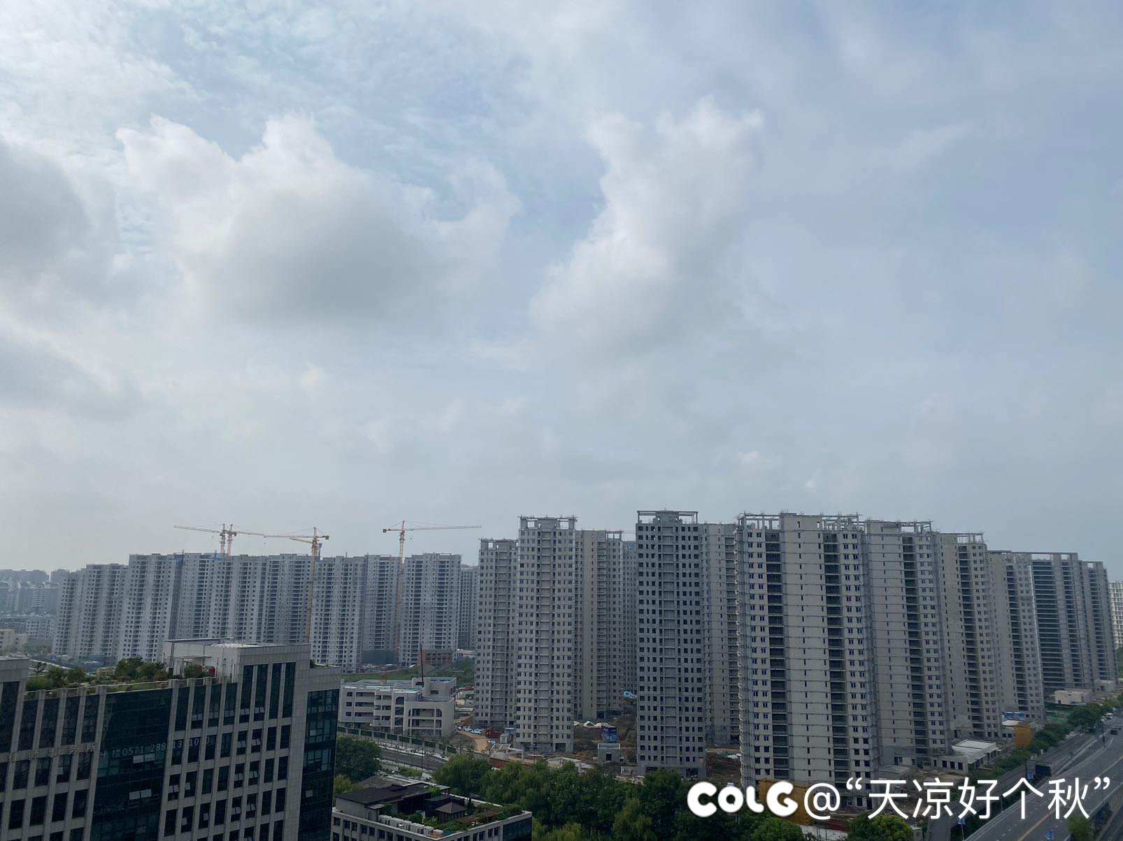 密密麻麻 麻麻密密1