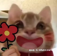 来参谋参谋小名字1