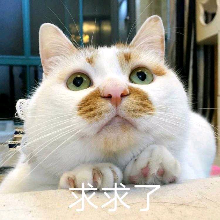 （怪物对决）冲16强拿红10券来80+胜场队友2