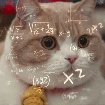 猪头快来吃糖了1
