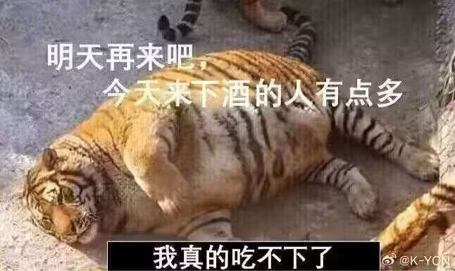 看了黑神话线下实机xdm有什么感受3