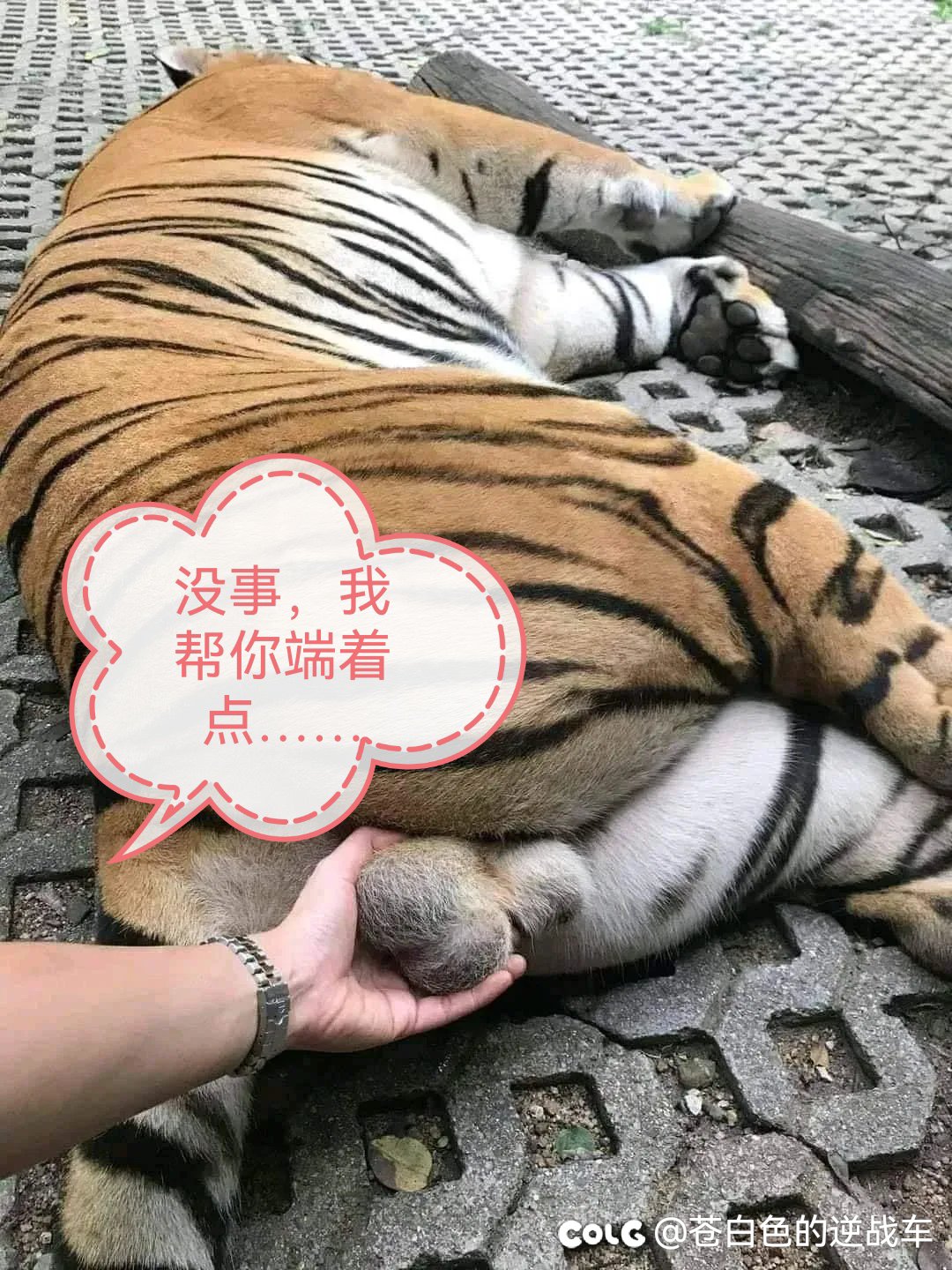 勋章系统改版之后还有3%攻速属性吗？1