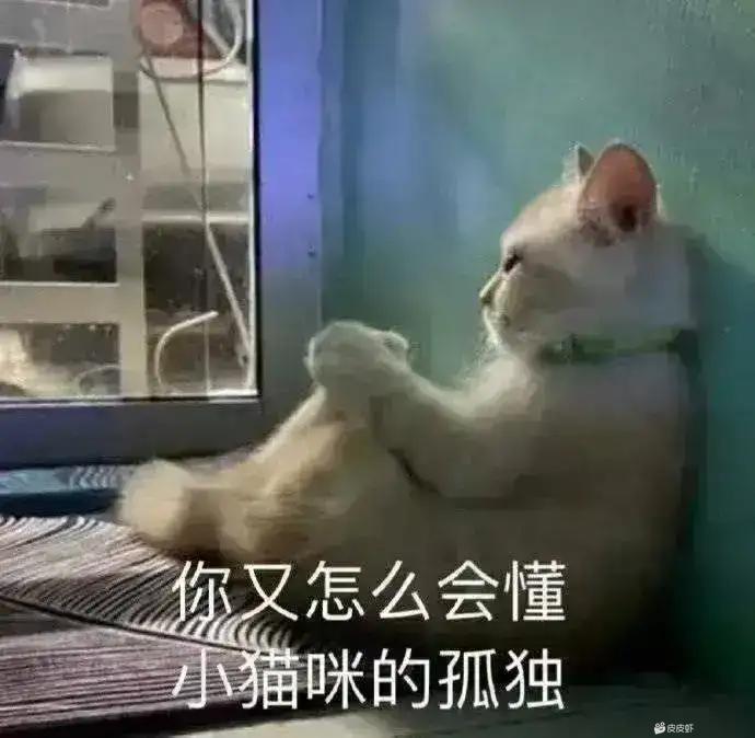 跨二巴卡尔招人1