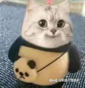 三套毕业搭配 三套次毕业搭配 哪个最适合小号1