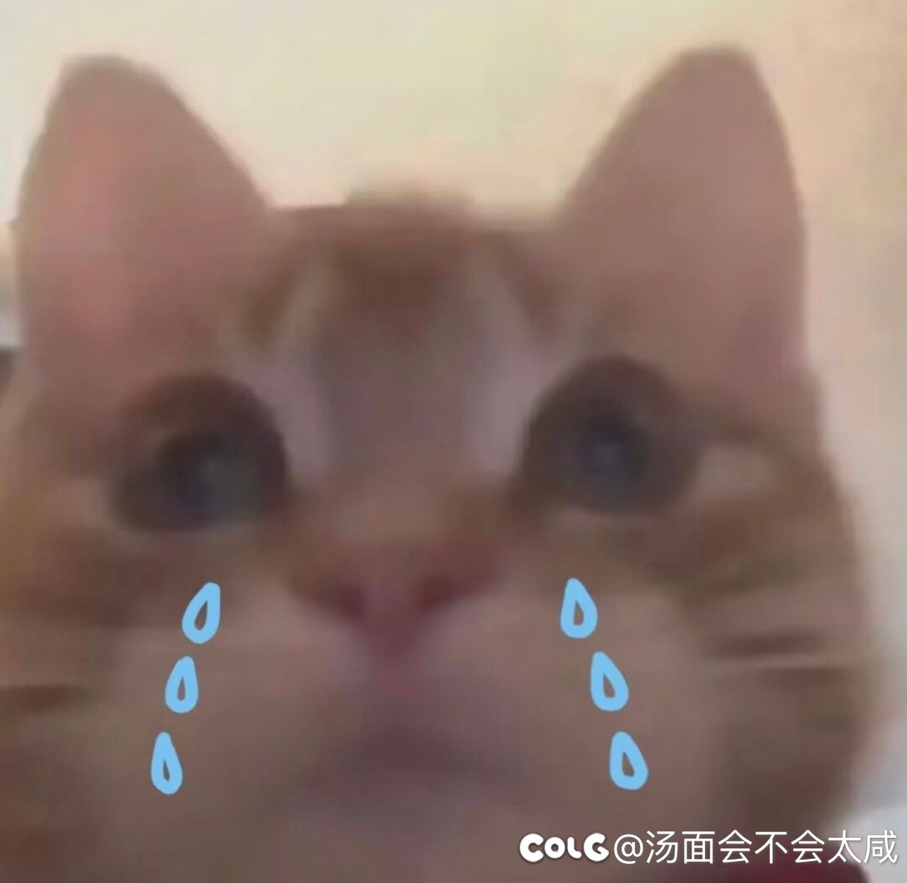 跨六有门童吗1