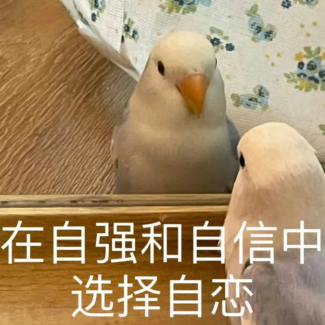 糖，前10。。。1
