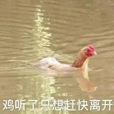 糖，前10，，，，1