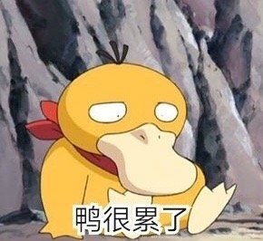 糖，前10，，，，1
