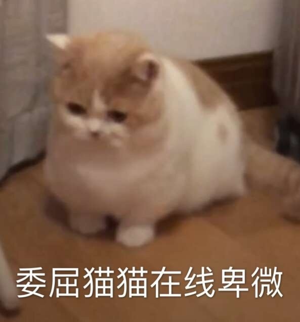 糖，前10，，，，1