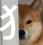 糖，前10。。。1