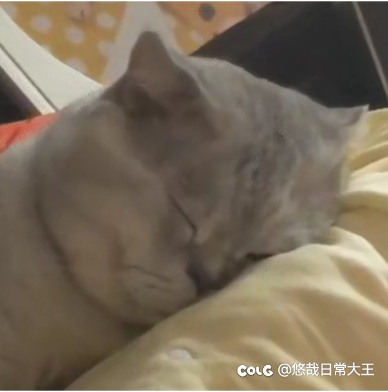借出去容易收回来难，心力交瘁才收回来一点2