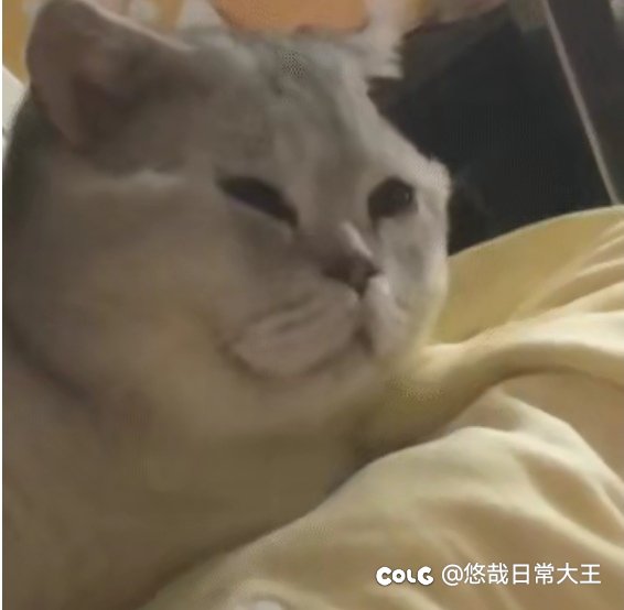 借出去容易收回来难，心力交瘁才收回来一点3