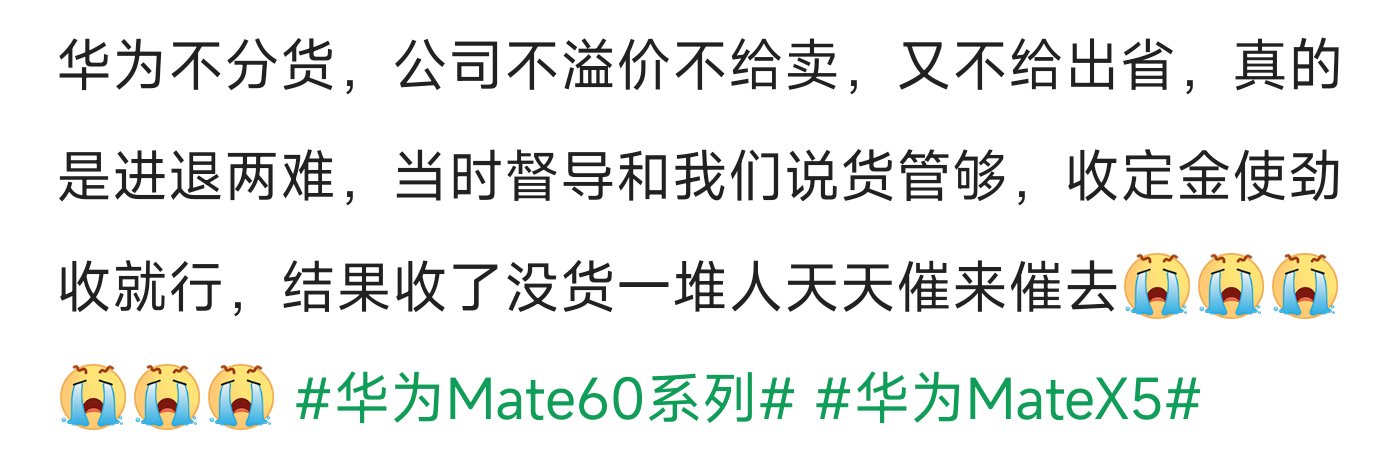 苹果都开卖了 菊花还在耍猴1