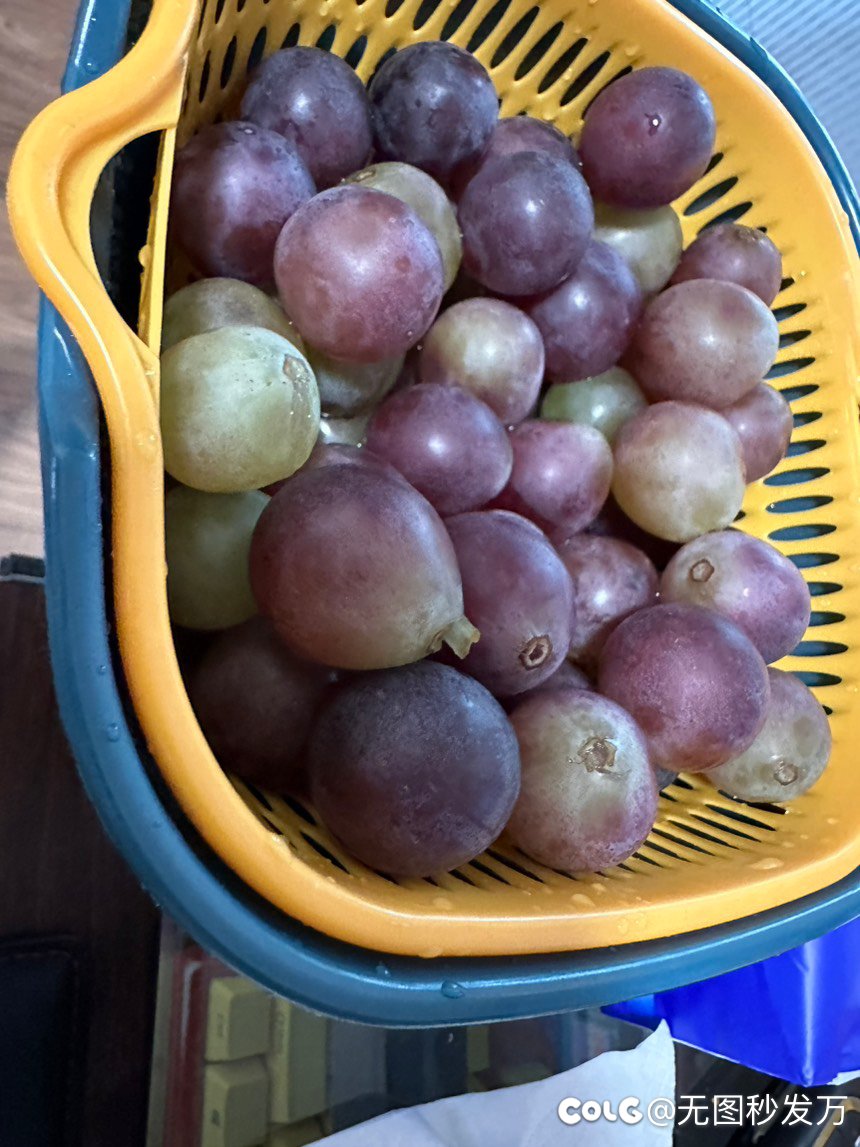 吃到葡萄也说葡萄酸1