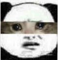 换掉龙7果然更快了2