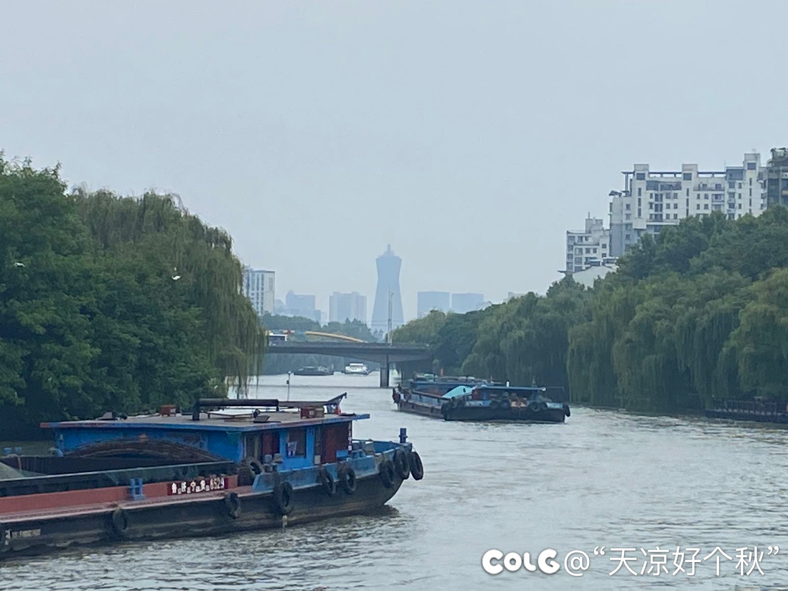 遛娃日志 运河 小街 公园（内有凶兽）1