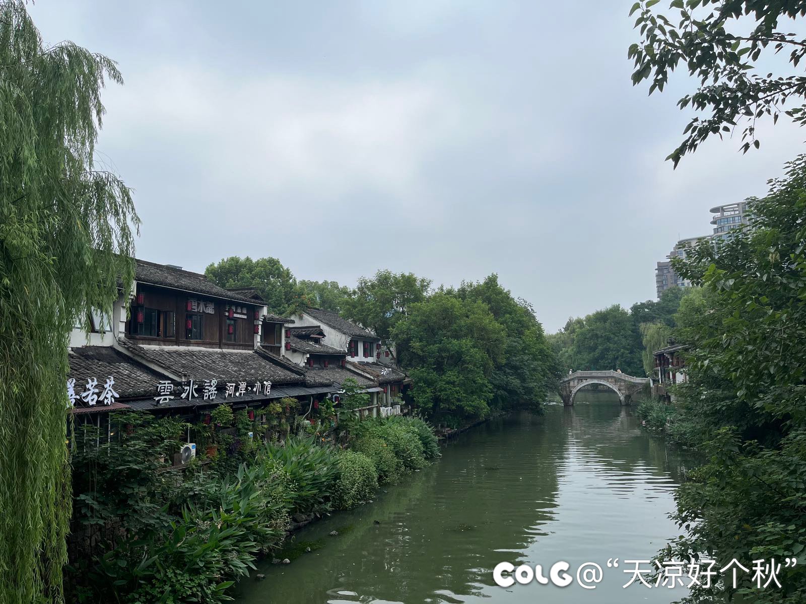 遛娃日志 运河 小街 公园（内有凶兽）2