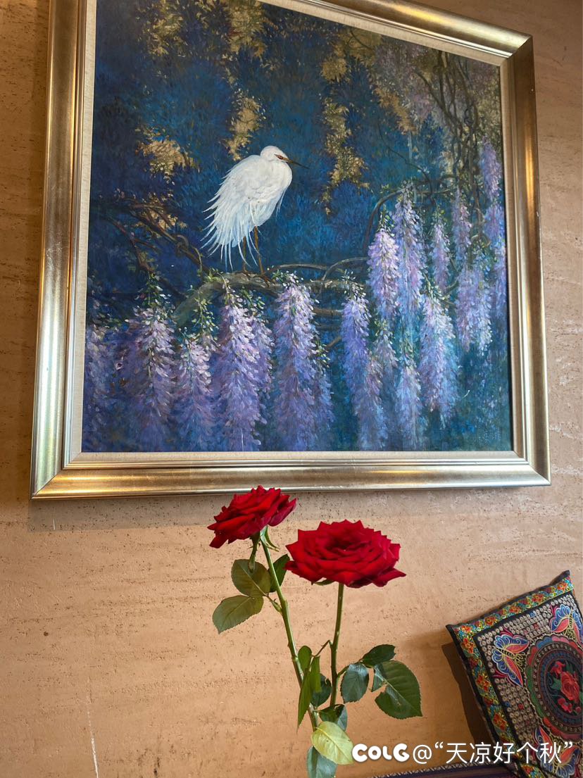 遛娃日志 运河 小街 公园（内有凶兽）4