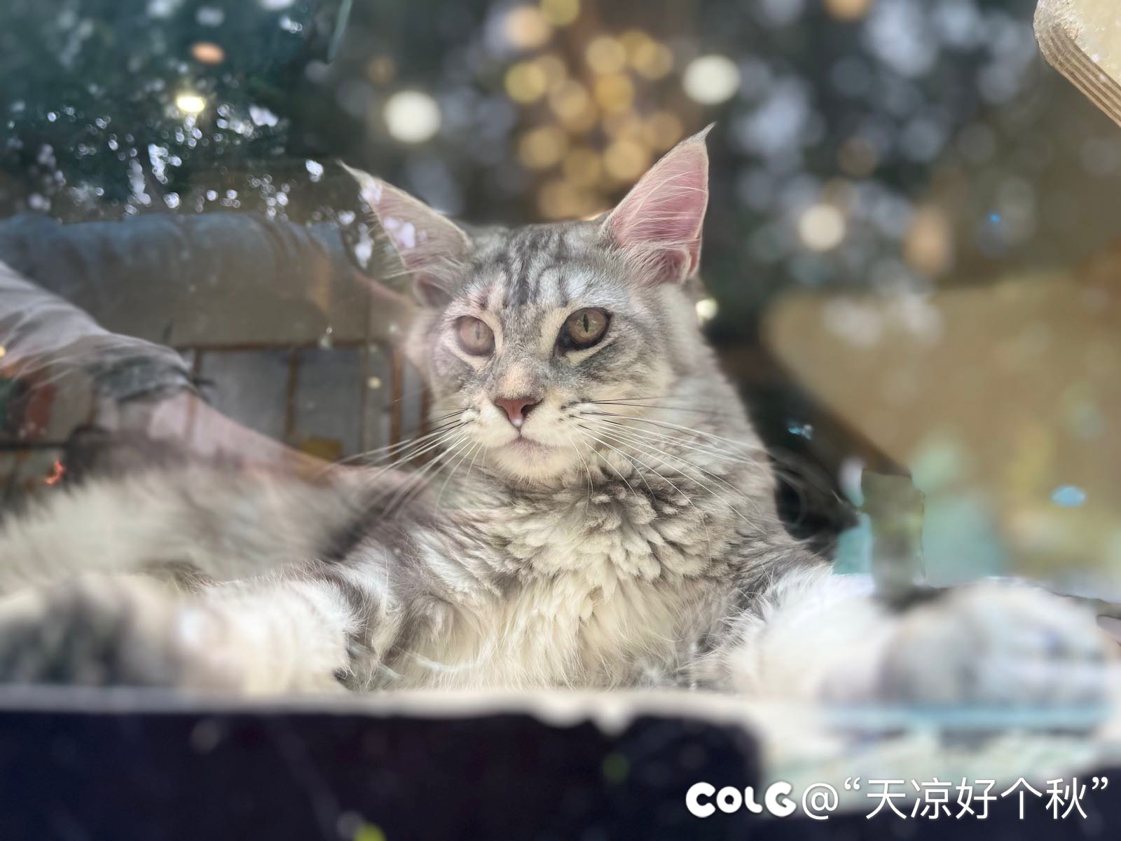 遛娃日志 运河 小街 公园（内有凶兽）7