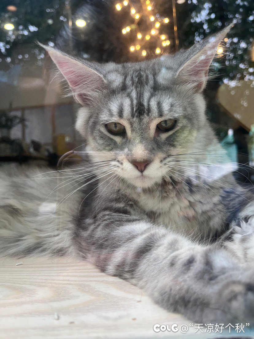 遛娃日志 运河 小街 公园（内有凶兽）8