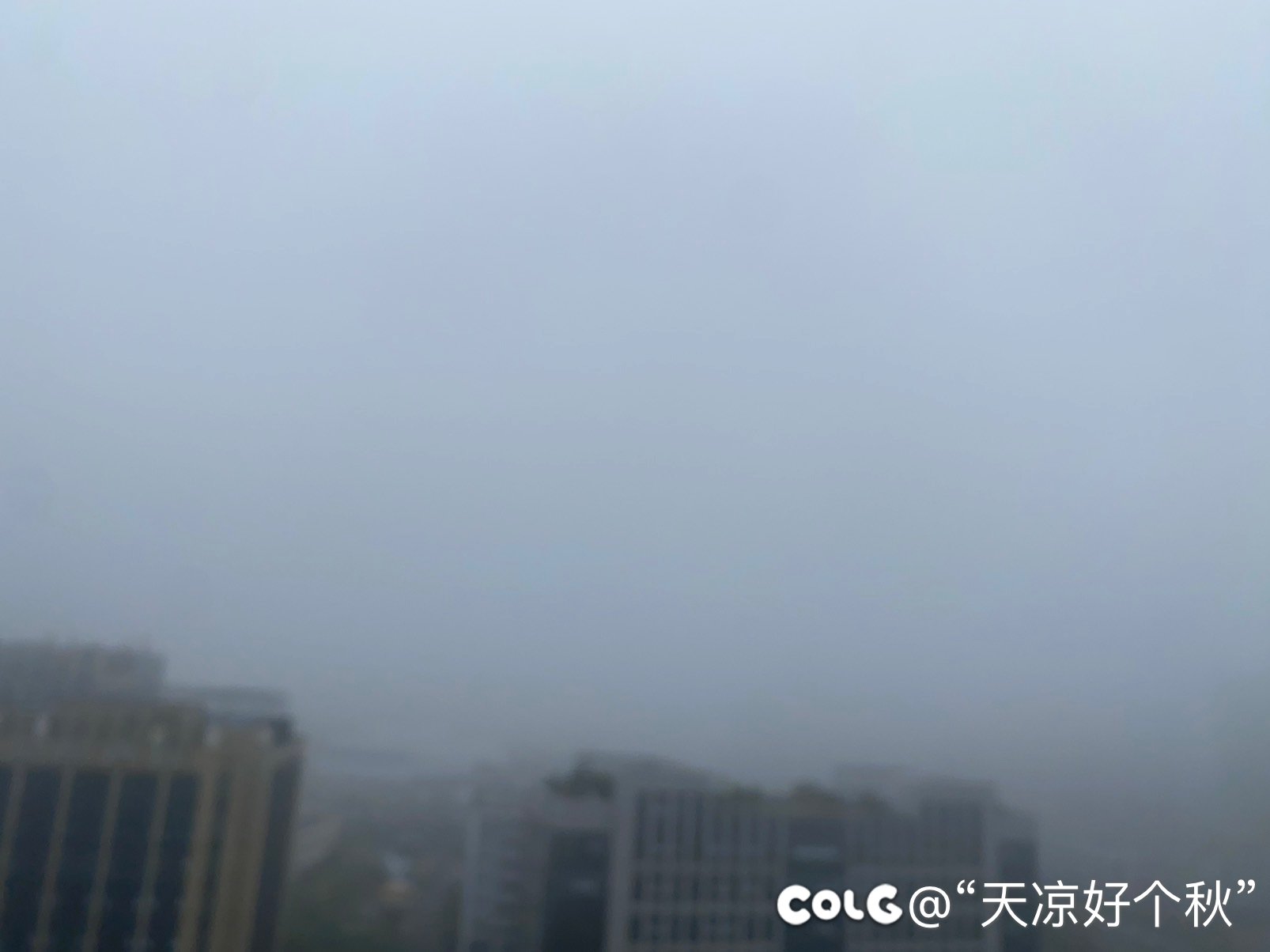 啊这  居然起这么大的雾1