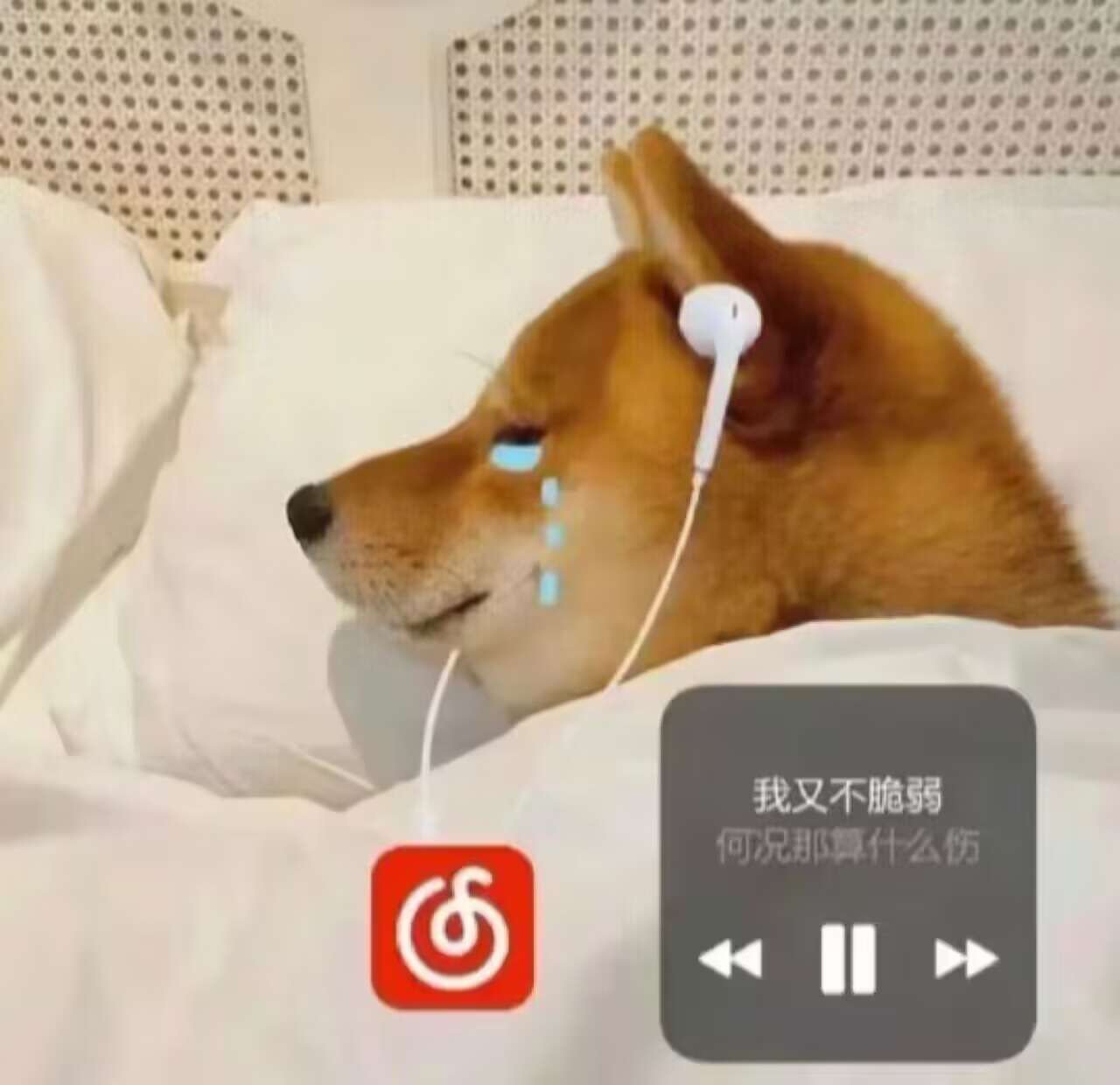 男街霸还有这么强?14