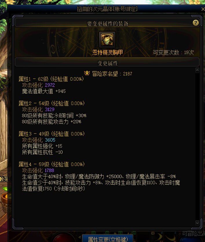 鹦鹉上衣1