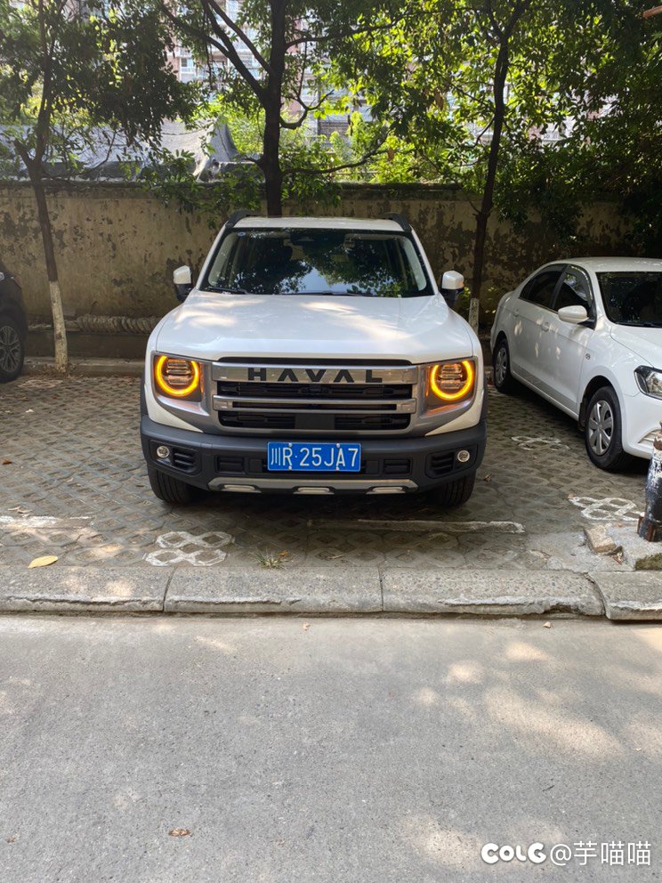 哥们终于也提车鸟2