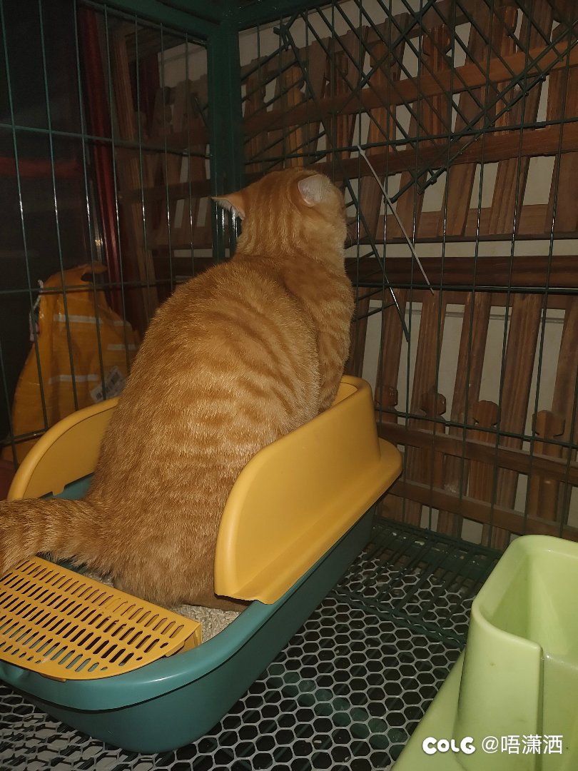 水猫混分贴，你是来拉屎的吧2