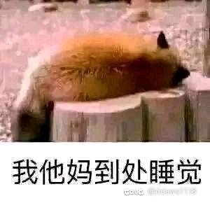 有今年五一过后入坑新人嘛1