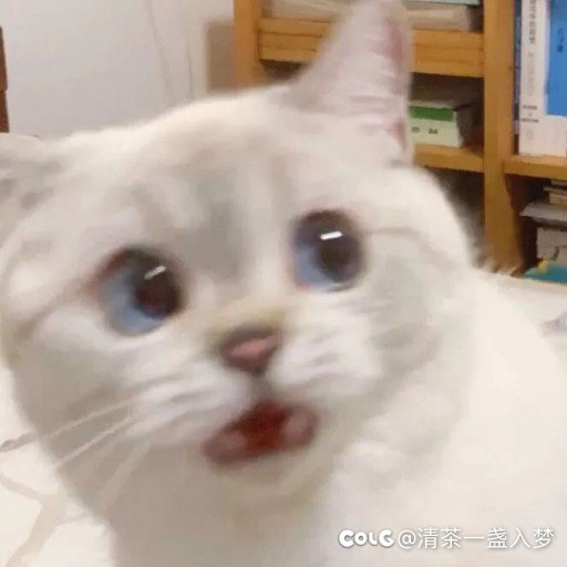 跨五招两个打金的搭子1