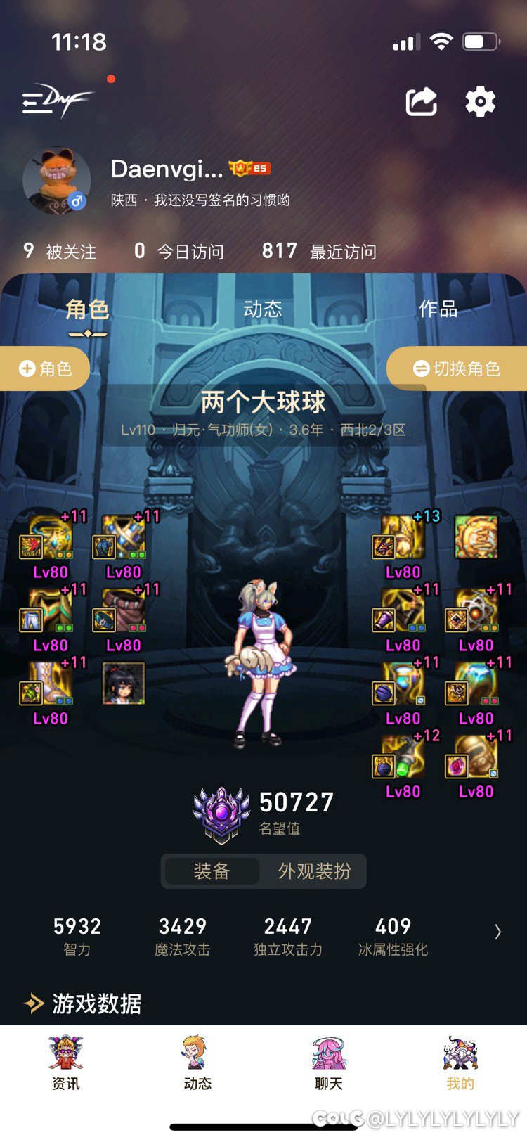 大佬们我这花花伤害正常吗1