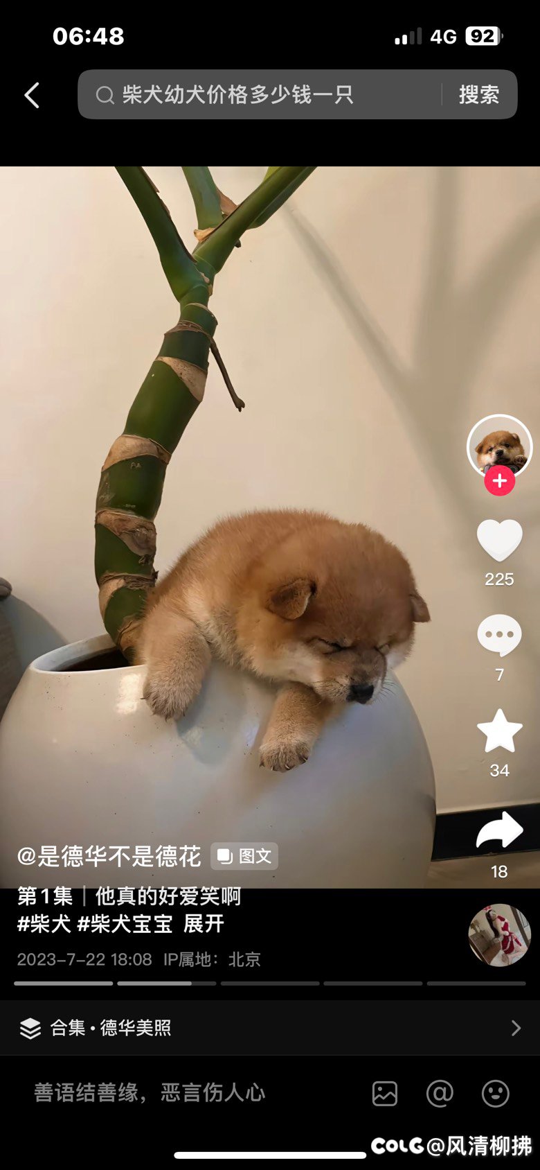 怎么快速攒狗眼啊1