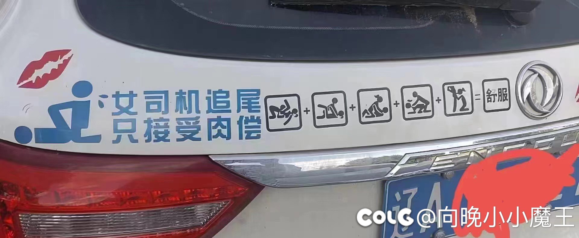 典中典之XXX1