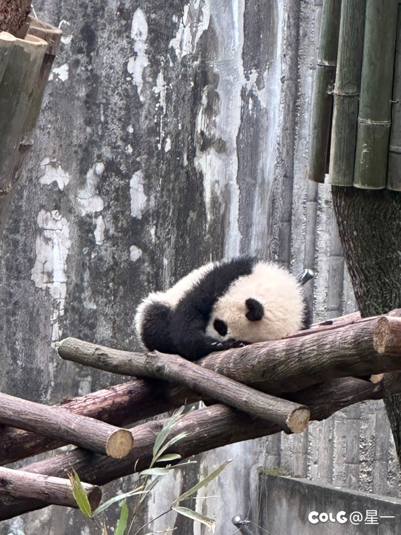 跨六带我一起玩好不好1