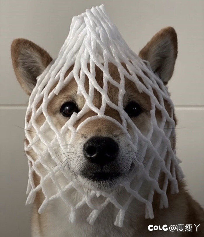 小技巧：回廊噩梦偷懒慢跑也可以1