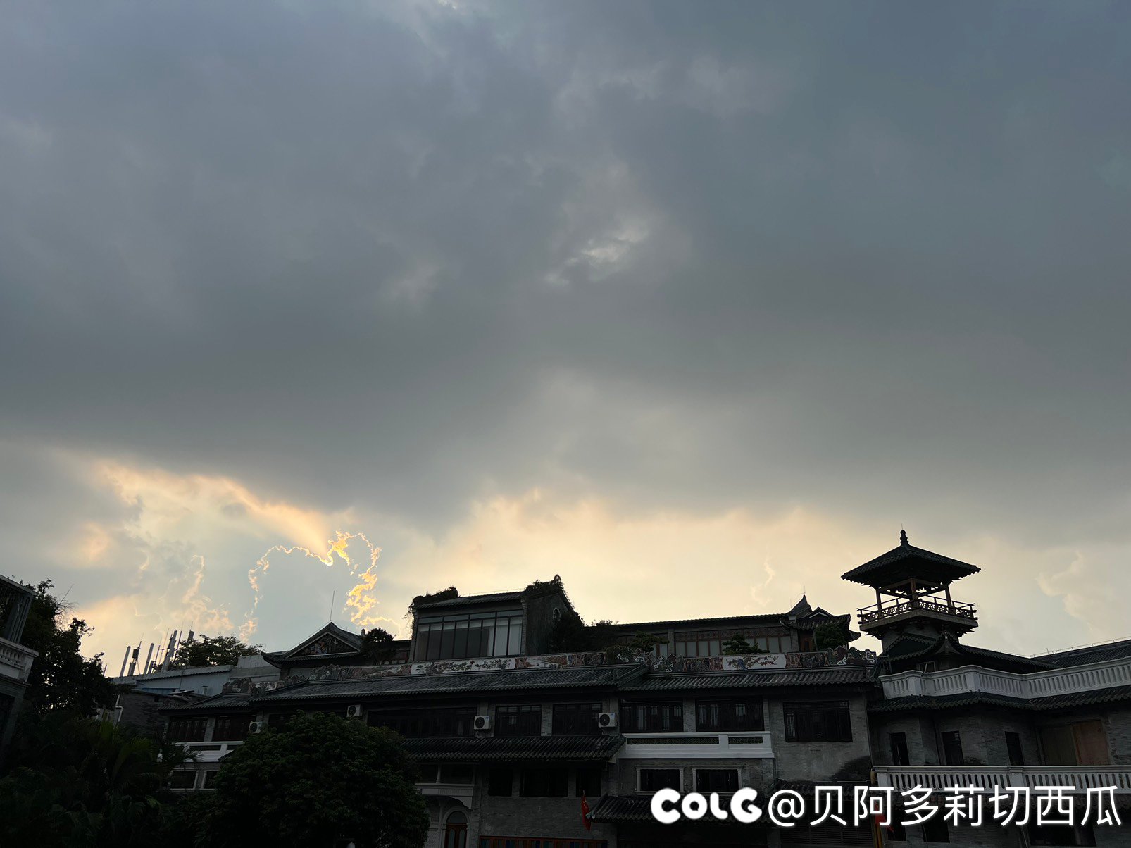 广州吃吃喝喝的一天（多图）13