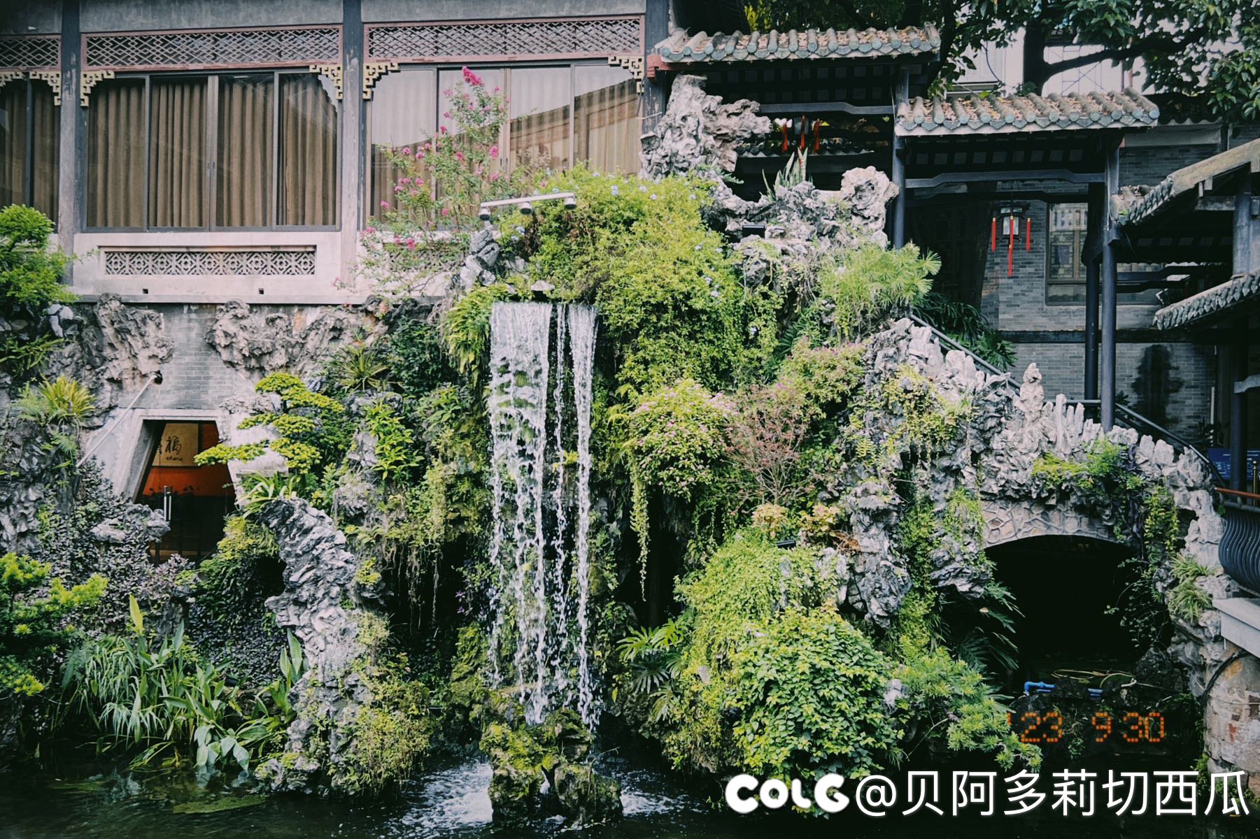 广州吃吃喝喝的一天（多图）15