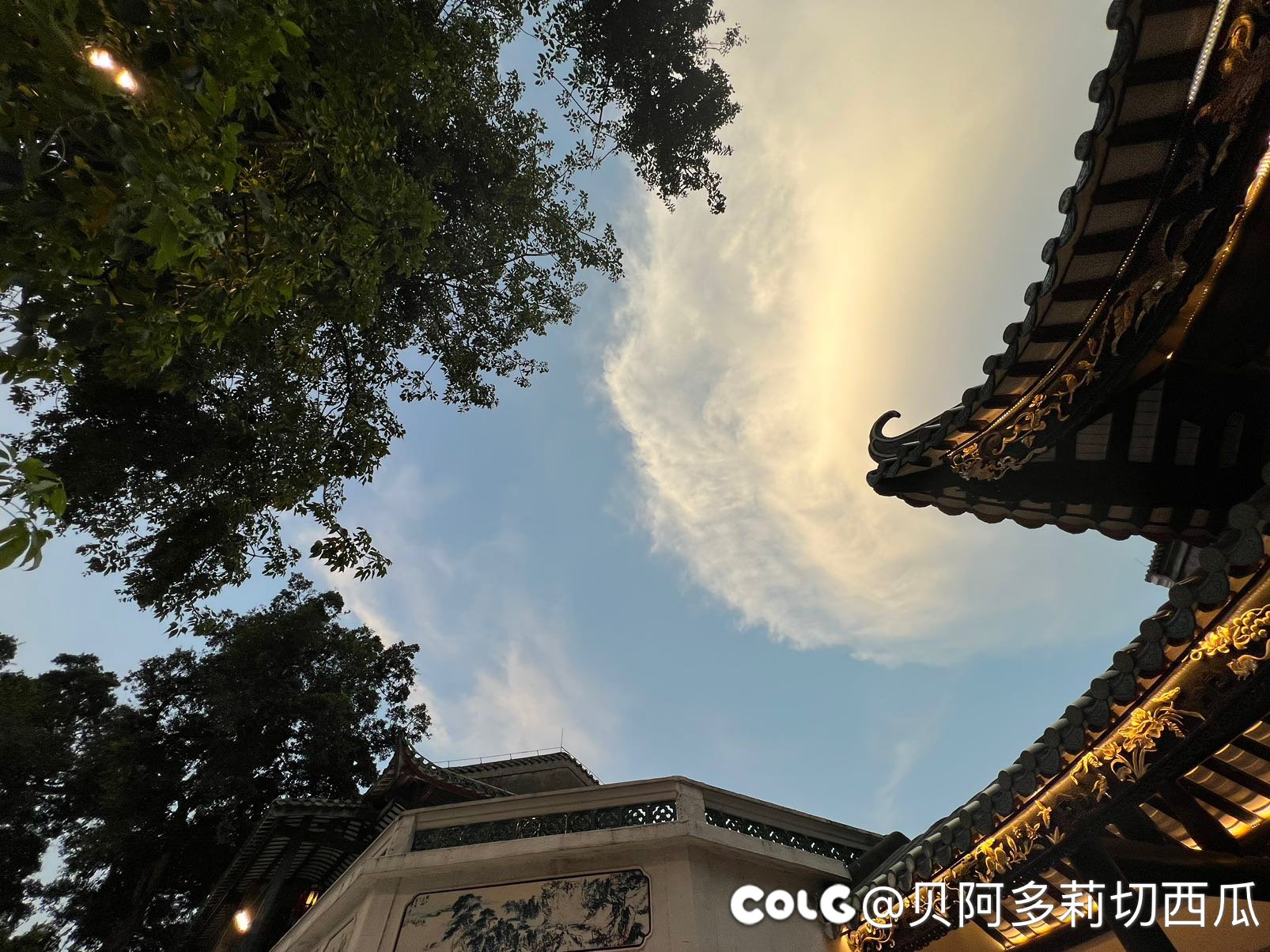 广州吃吃喝喝的一天（多图）18